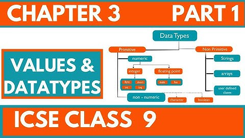 VALUES AND DATA TYPE | ICSE 9|COMPUTER APPLICATIONS | CHAPTER 1| PART 1