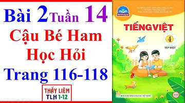 Tiếng Việt Lớp 4 Bài 2 Tuần 14 | Cậu Bé Ham Học Hỏi | Trang 116 - 118 | Chân Trời Sáng Tạo