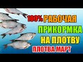 Рабочая прикормка на плотву. Ловля плотвы на фидер в марте