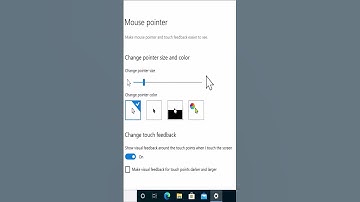 Hoe de muisaanwijzer in Windows 10 (2025) te wijzigen