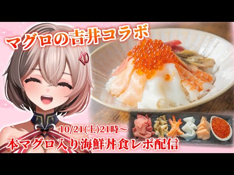 【食レポ】本マグロ入り海鮮丼を頂いていくぅ！#マグロの吉井コラボ