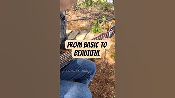 🎸Make Your Chords Beautiful Pt.1 #guitar #acousticguitar #chords