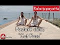  posture clinic  cat pose  indian martial art kalarippayattu