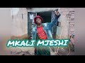 MKALI MJESHI Ujumbe Wangu Official Audio 