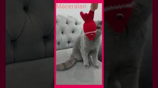 Lunanın Maceraları Tüm Hızıyla Devam Ediyoramigurumi Çıngıraklı Balık Kedi Oyuncağı