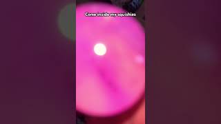 Come Inside My Squishies