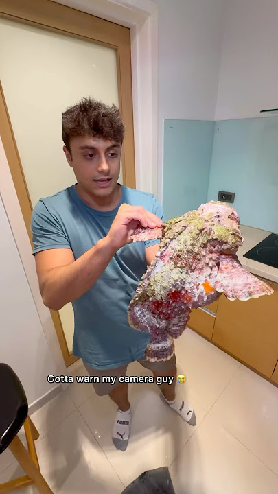 How To Hold A Stone Fish