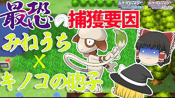 ダイパドーブル