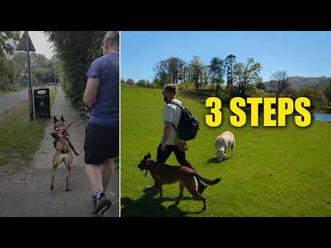 The No-BS Method to Stop Lead Pulling