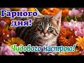 Побажання гарного дня гарного настрою на весь день музичне привітання привітання українською