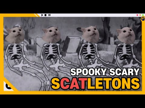 무서운 해골 고양이?!? Spooky Scary Scatletons Cat remix