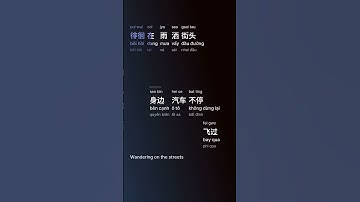 雨中的恋人们 (Cuộc Tình Trong Cơn Mưa/Yǔ Zhōng De Lìan Rén Men/Lovers In The Rain) - 黄凯芹 #gcthtt