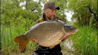 Lac d'Orient CARP FISHING adventure