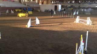 Nate T2B Q, Staffy Bull, Rancho Murieta, 12-17-16