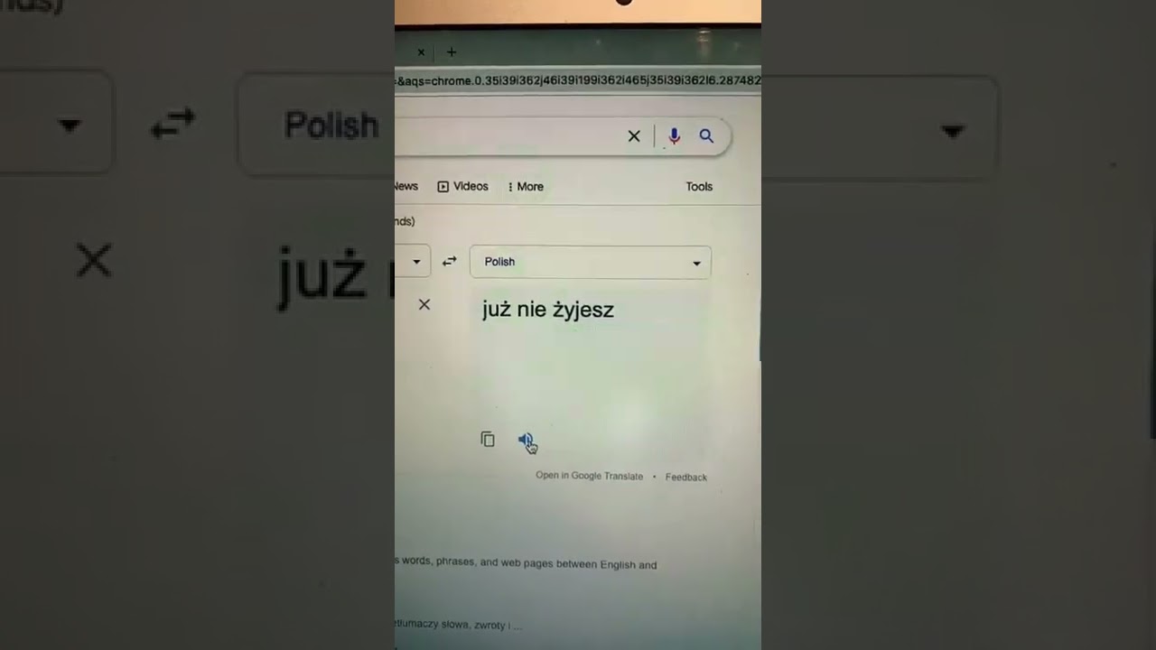 Famous anime phrase, Polish⇆Japanese 🇵🇱🇯🇵