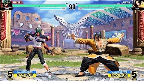 Insane Combos - Shun
