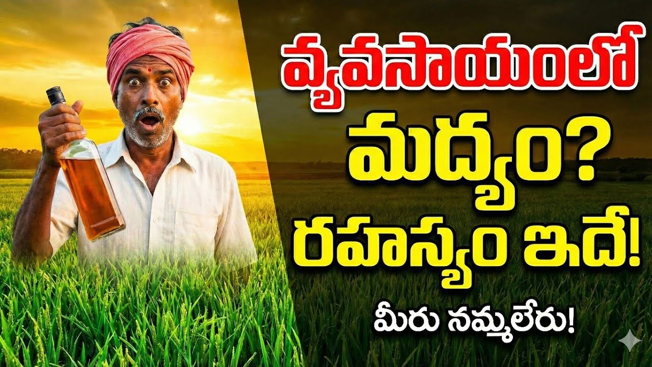 పంటలకు మద్యం స్ప్రే చేస్తే ఏమవుతుంది? | Methanol vs Ethanol | అసలు శాస్త్రం