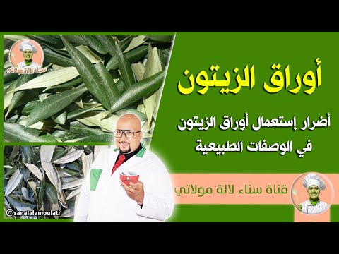 أضرار إستعمال أوراق الزيتون في الوصفات الطبيعية الدكتور عماد ميزاب
