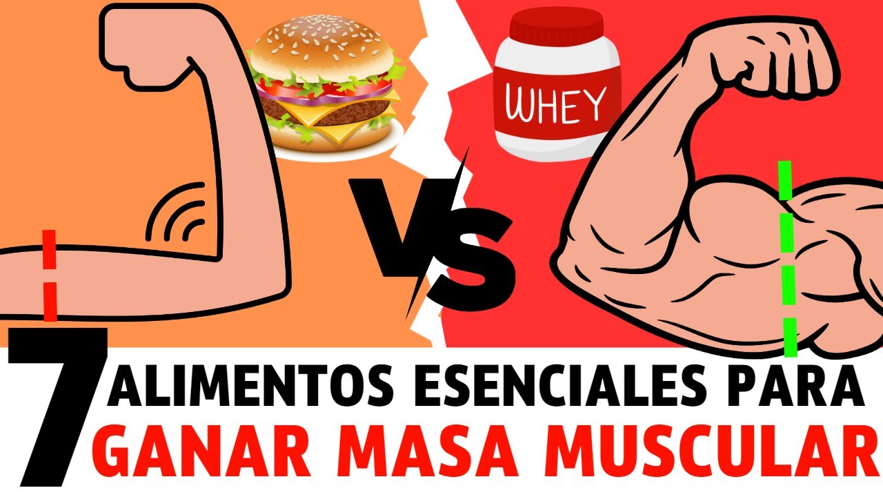 Los mejores alimentos para ganar masa muscular