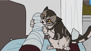 Curious kitten Leia (short animation)