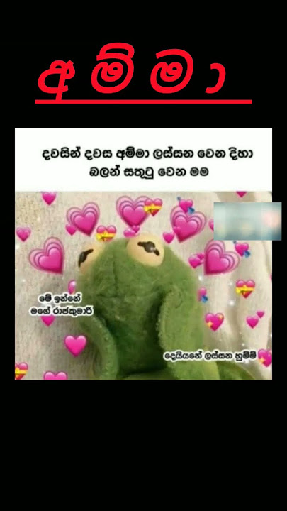 අම්මා වෙනුවෙන් දෙමු ද 1K #shorts #love