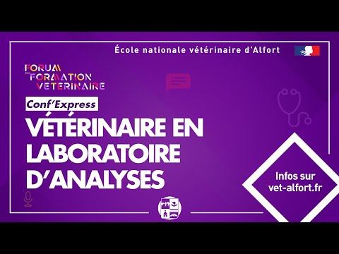 Vidéo: Un vétérinaire peut-il informer la lignée d'un chien par une analyse de sang?