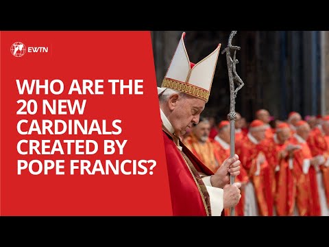 Who are the 21 new cardinals created by Pope Francis?