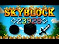 Hypixel SkyBlock Hardcore [39] How I doubled my damage