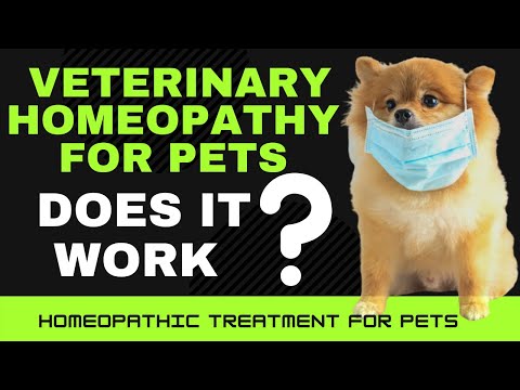 Video: Rezoluția Asociației Veterinare Americane Privind Medicina Homeopatică Pentru Animale De Companie