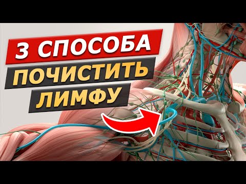 Видео: Разгоняйте лимфу каждый день! Лимфодренажная зарядка за 5 минут