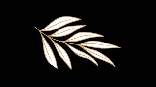 BROWN LEAF VECTOR 05 (Compositing Videos Alpha)