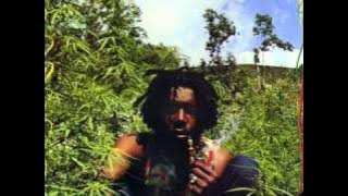 Peter Tosh - Whatcha gonna do