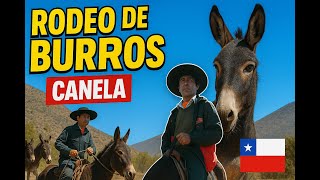 Rodeo entre cactus y el norte de Chile olvidado