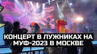 Концерт в Лужниках на МУФ-2023 в Москве / LIVE 05.09.23