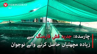 Charsaddas Kamran Khan Adopts Biofloc For Modern Fish Farming