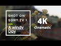 4K Cinematic video | A Windy Day | Shot on Sony ZV 1 | V-log #3