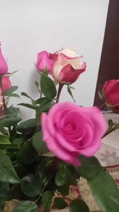 Муж поздравил с годовщиной свадьбы😘👏☺ - YouTube