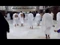 مكاشفي مكاوي 
