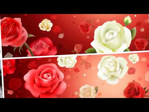 Million Roses - English Sub ( Trieu bong hong - Tieng Anh)
