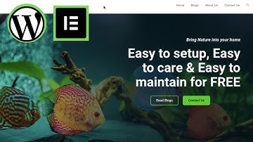 Build Aquarium Website with WordPress, Elementor & DomainRacer - Simple & Easy | Being Commerce