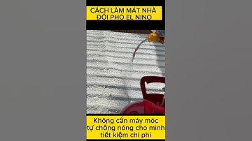 Review chống nóng cho mái tôn không cần máy móc #shorts #ongbanson