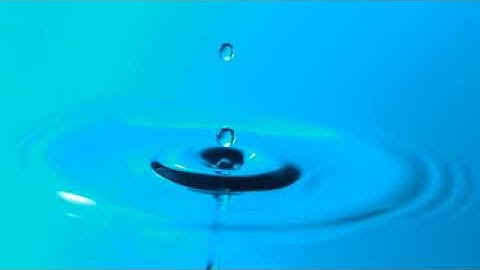 Psychology Experiment: Memory and Recall