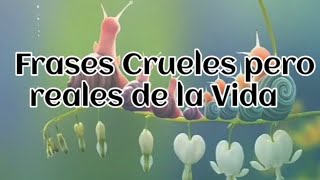 FRASES CRUELES PERO REALES DE LA VIDA CORTAS... #frases #reflexiones