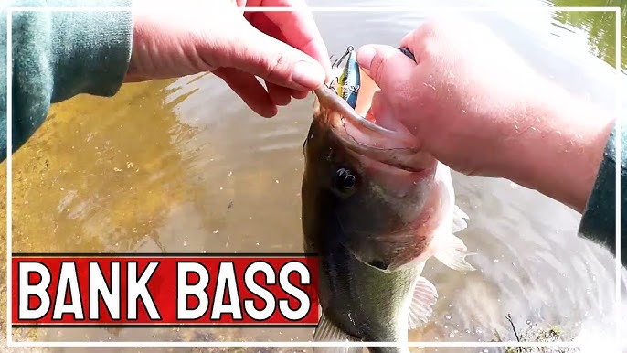 Easy Way To Catch a Lot of Fish! Fishing with a Mini Trout Magnet