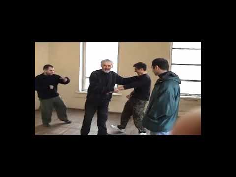 ალექსანდრე დარსაველიძე, დავით გულბანი  2010 წ.