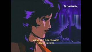Voltei Pra Cachorrada  slowedreverb Saudade Das Piranha Do Helipa