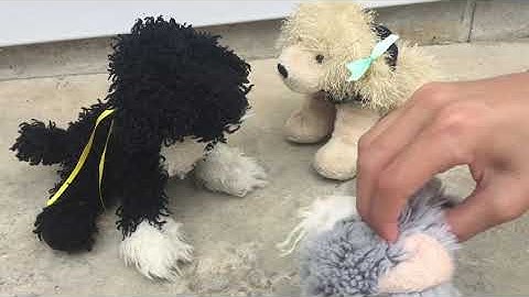 Webkinz music video - Unbreakable