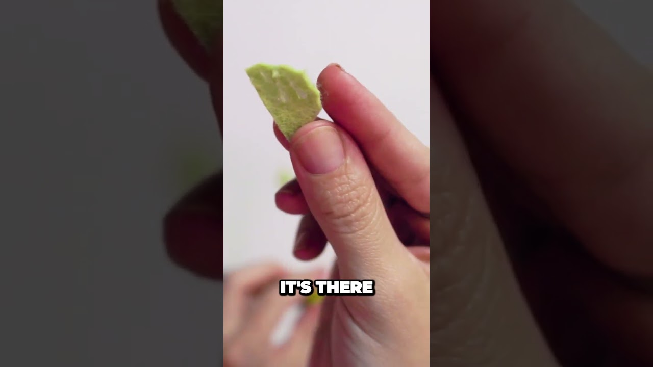 Creating a Stylish Hair Accessory with Felt Balls and Hairspray 