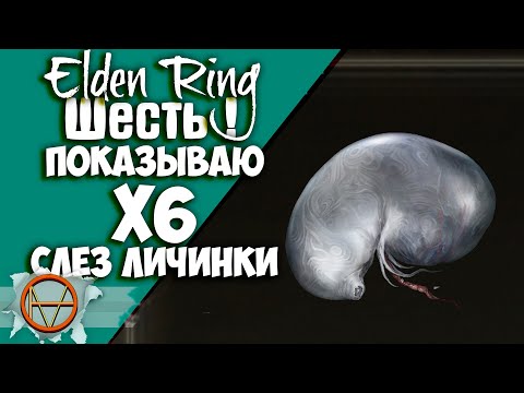 Elden Ring : Где Найти Шесть Слез Личинки ! ?! |  Подробный Гайд 🔥