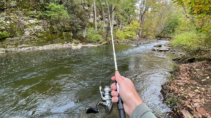 TROUT Fishing with Rooster Tail Spinners 